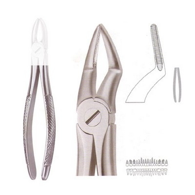 Extracting Forceps